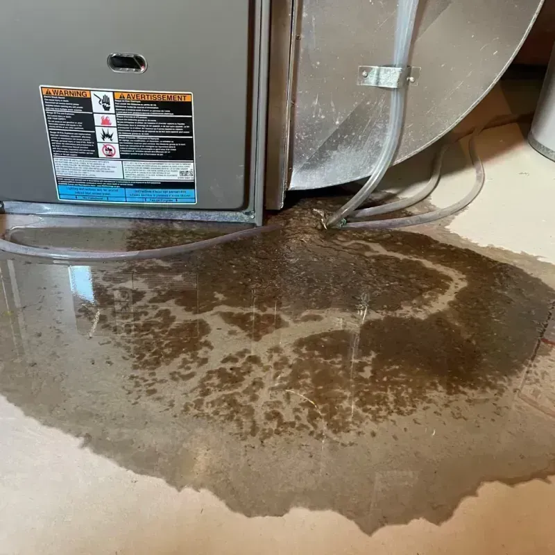 Appliance Leak Cleanup in Tice, FL